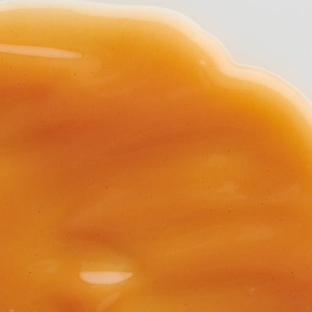 Sérum Plump Start